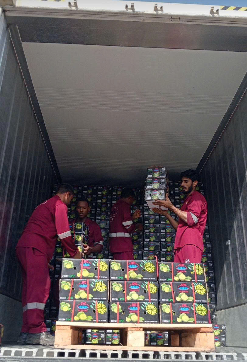 20ft vs 40ft Reefer Container: Which One Is Better for Fresh Fruit?