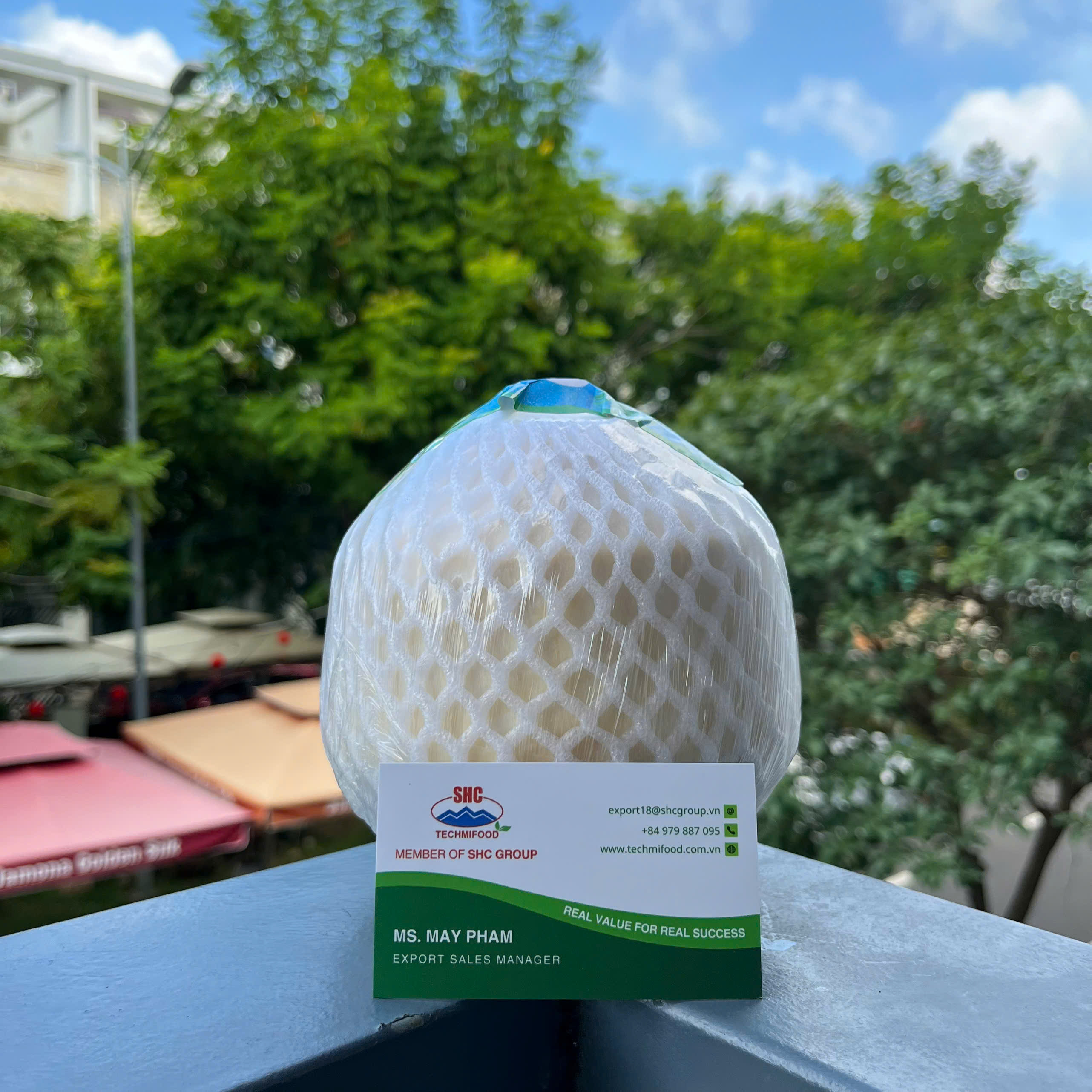 Fresh Peeled Coconut Exported to the USA – Clean, Convenient and International-Standard