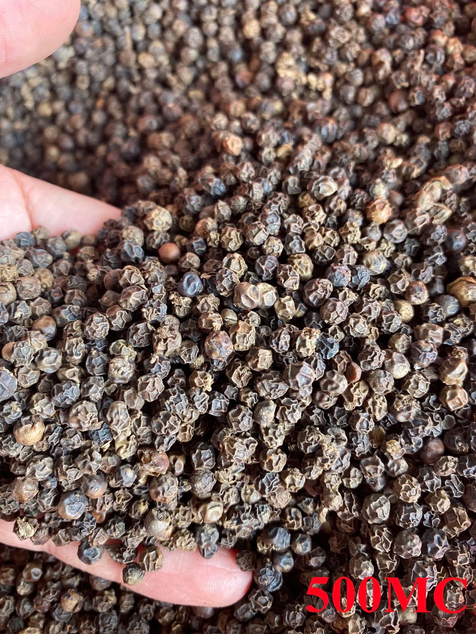 Why Vietnamese Black Pepper Outshines Global Competitors: Vietnam vs. Brazil, India, and Indonesia