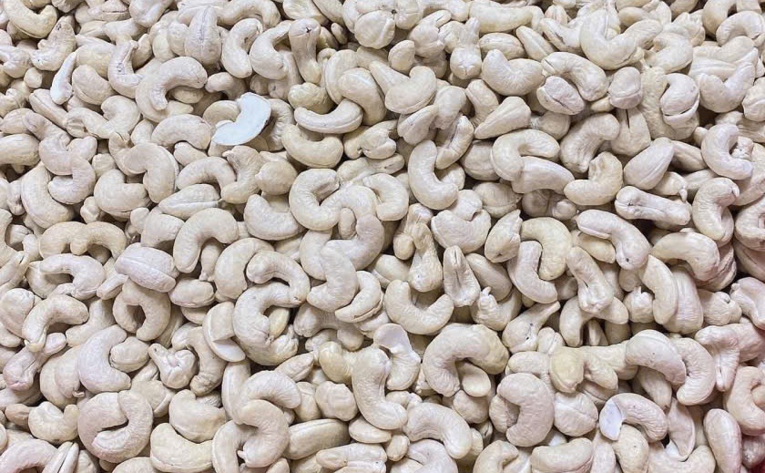 Vietnam Cashew Nuts 2026: Maintaining the Global Export Throne