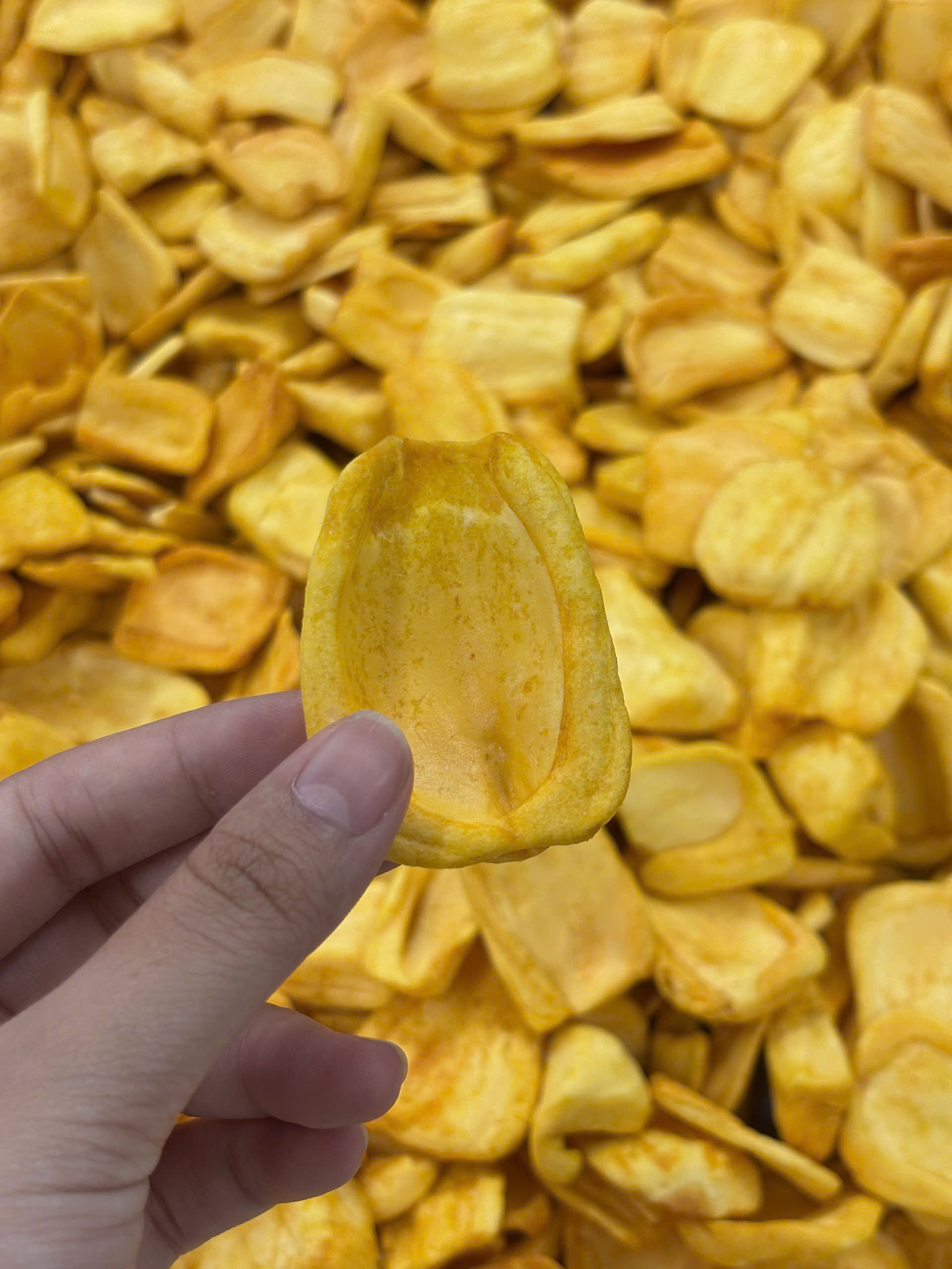 Vietnamese Crispy Jackfruit Chips: A Flavorful Tropical Snack for Global Markets