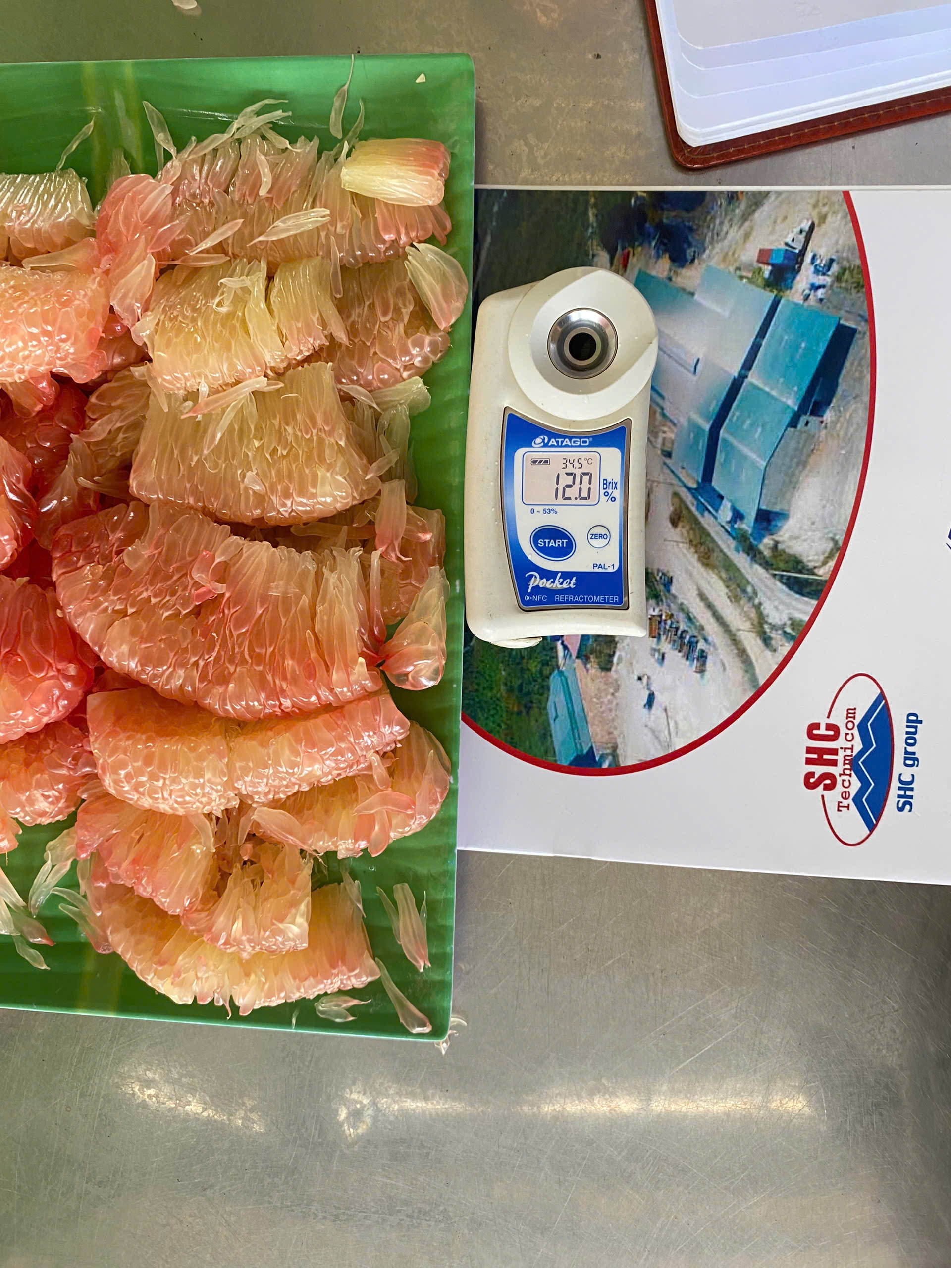 Vietnamese Pomelo for Export: Quality, Health Benefits, and TECHMIFOOD’s Commitment to Excellence