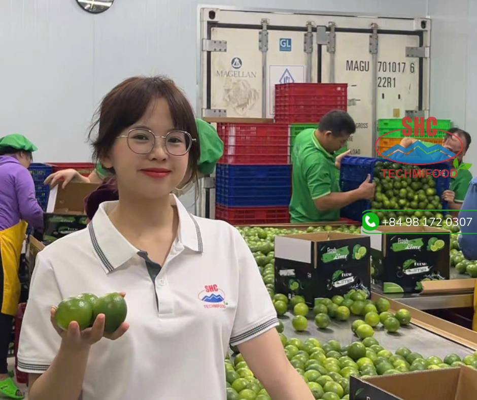 TECHMIFOOD SEEDLESS LIME – PREMIUM QUALITY FROM VIETNAM, TRUSTED BY GLOBAL BUYERS