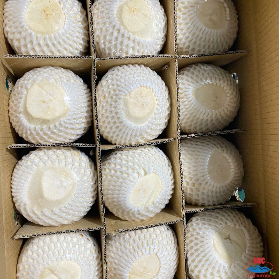 Vietnamese Coconut for Export: Quality, Benefits, and Global Demand