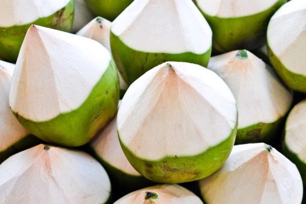 Exporting Premium Top Cut Diamond Coconuts Worldwide From Vietnam