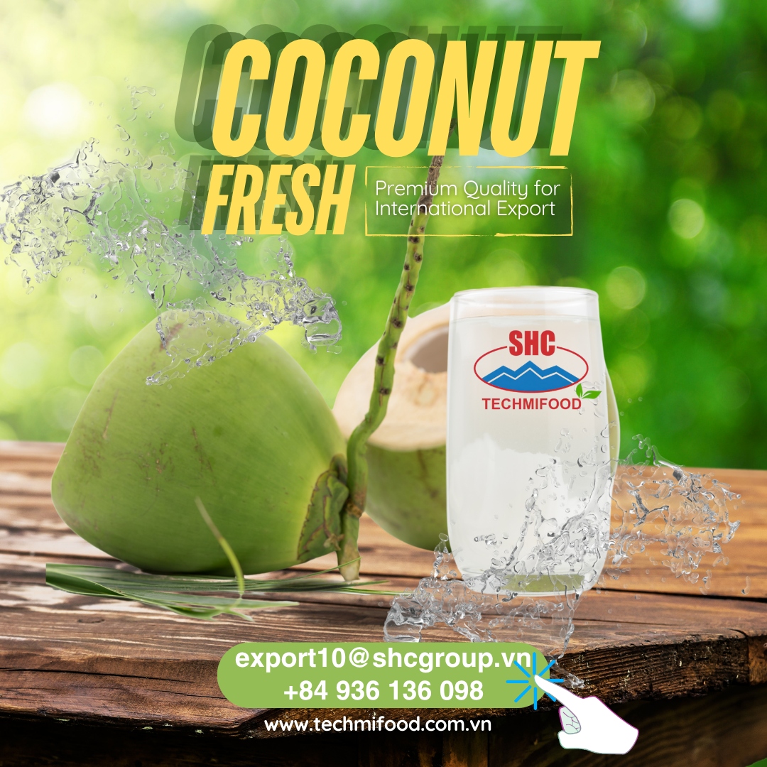 Premium Vietnamese Young Coconuts from TECHMIFOOD: The Ideal Choice for US Importers