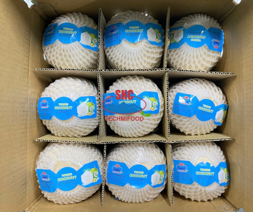 PREMIUM COCONUT EXPORT DIRECTLY FROM TECHMIFOOD 🌴