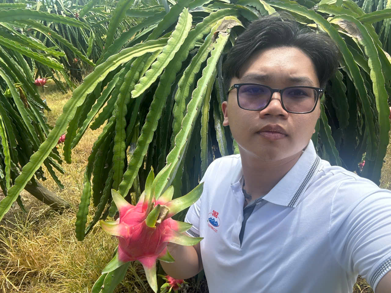 Why Is Dragon Fruit in Short Supply? Unveiling the Causes from Harvest and Export Trends