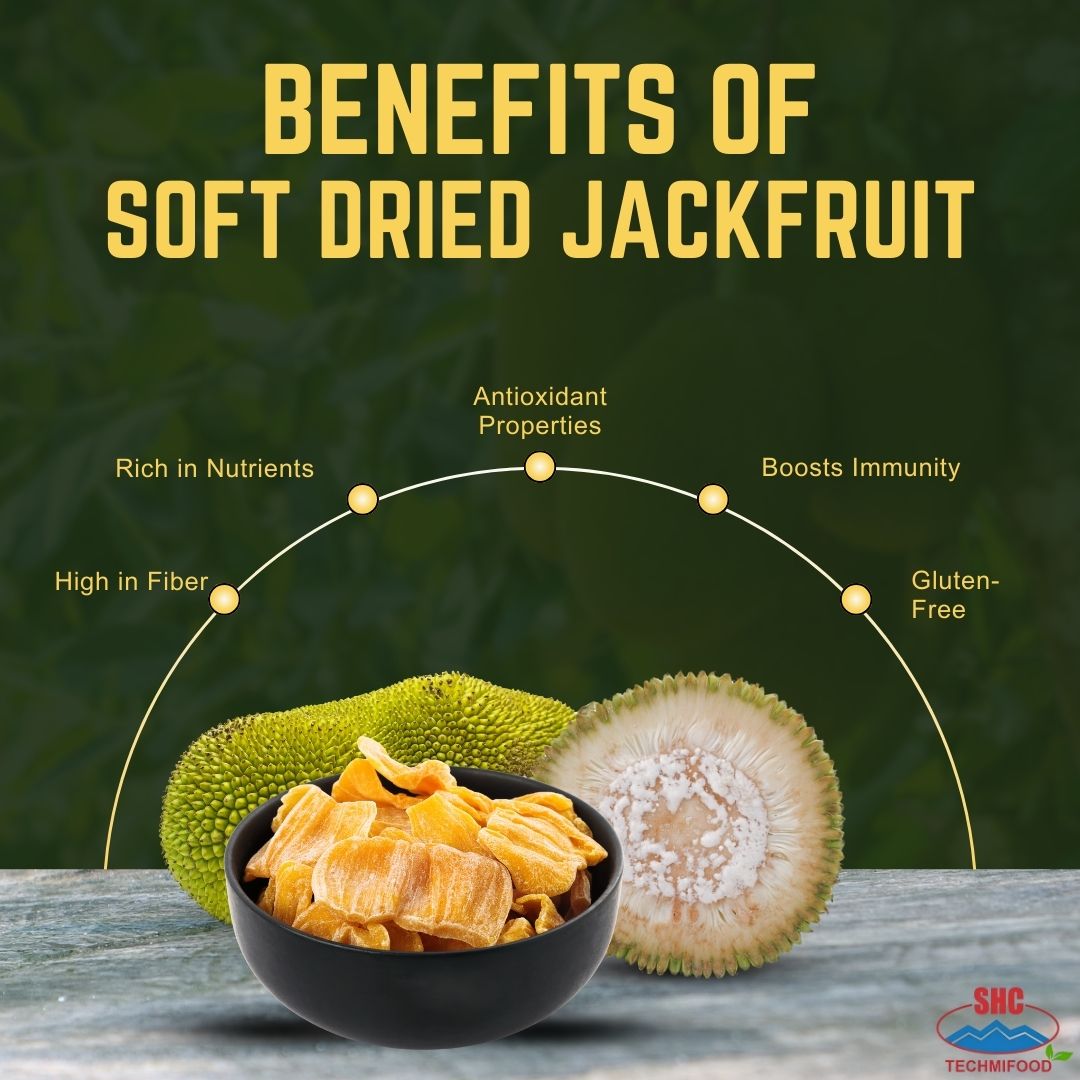 Soft Dried Jackfruit for Export: A Nutritious & High-Quality Tropical Snack
