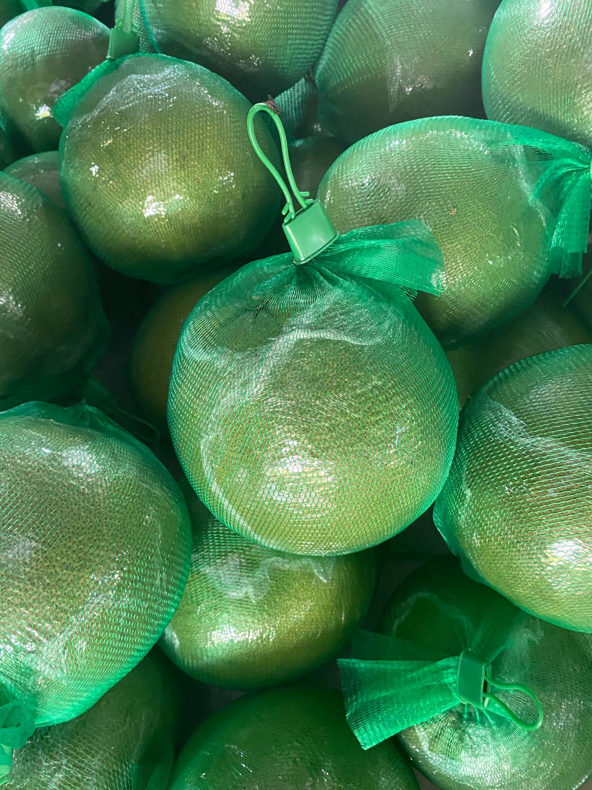 Vietnam’s Green Skin Pomelo Export: Opportunities & Global Demand
