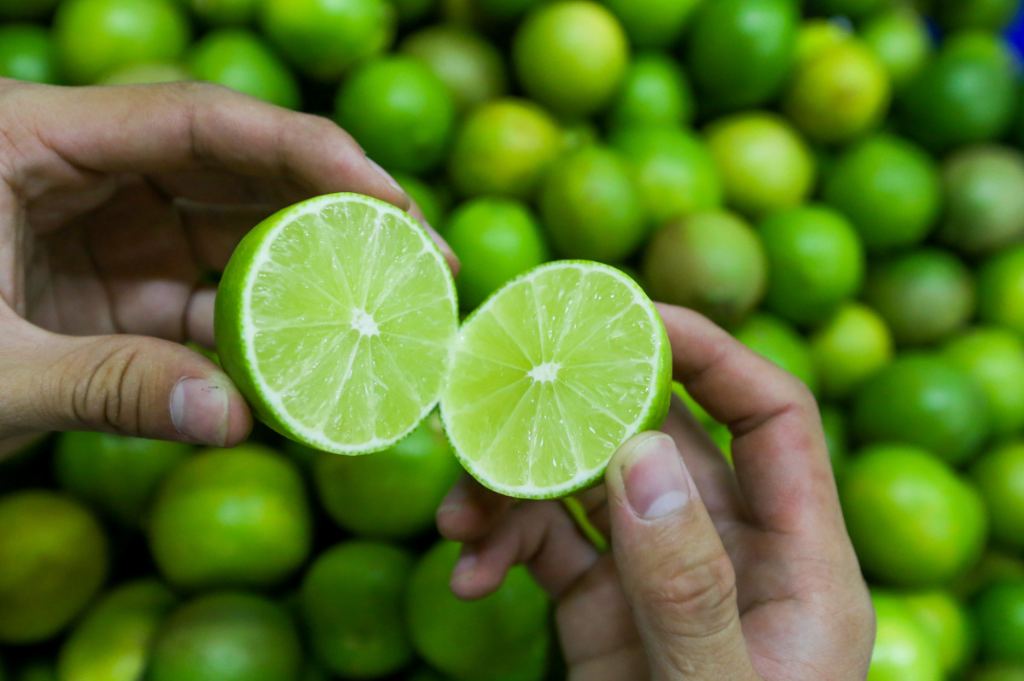 Vietnamese Seedless Lime Export – Quality & Global Reach