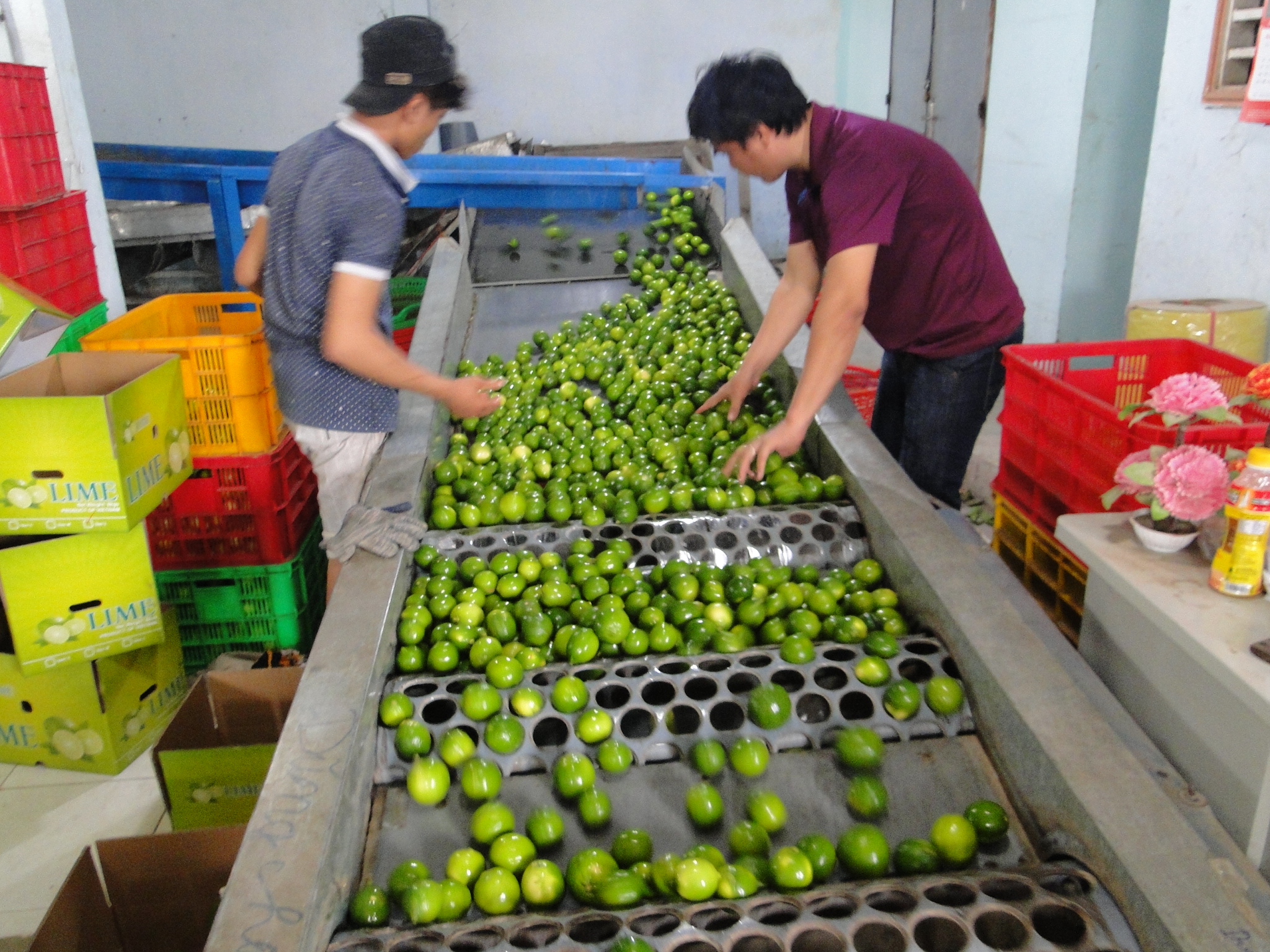 How to Ensure the Quality of Fresh Agricultural Exports