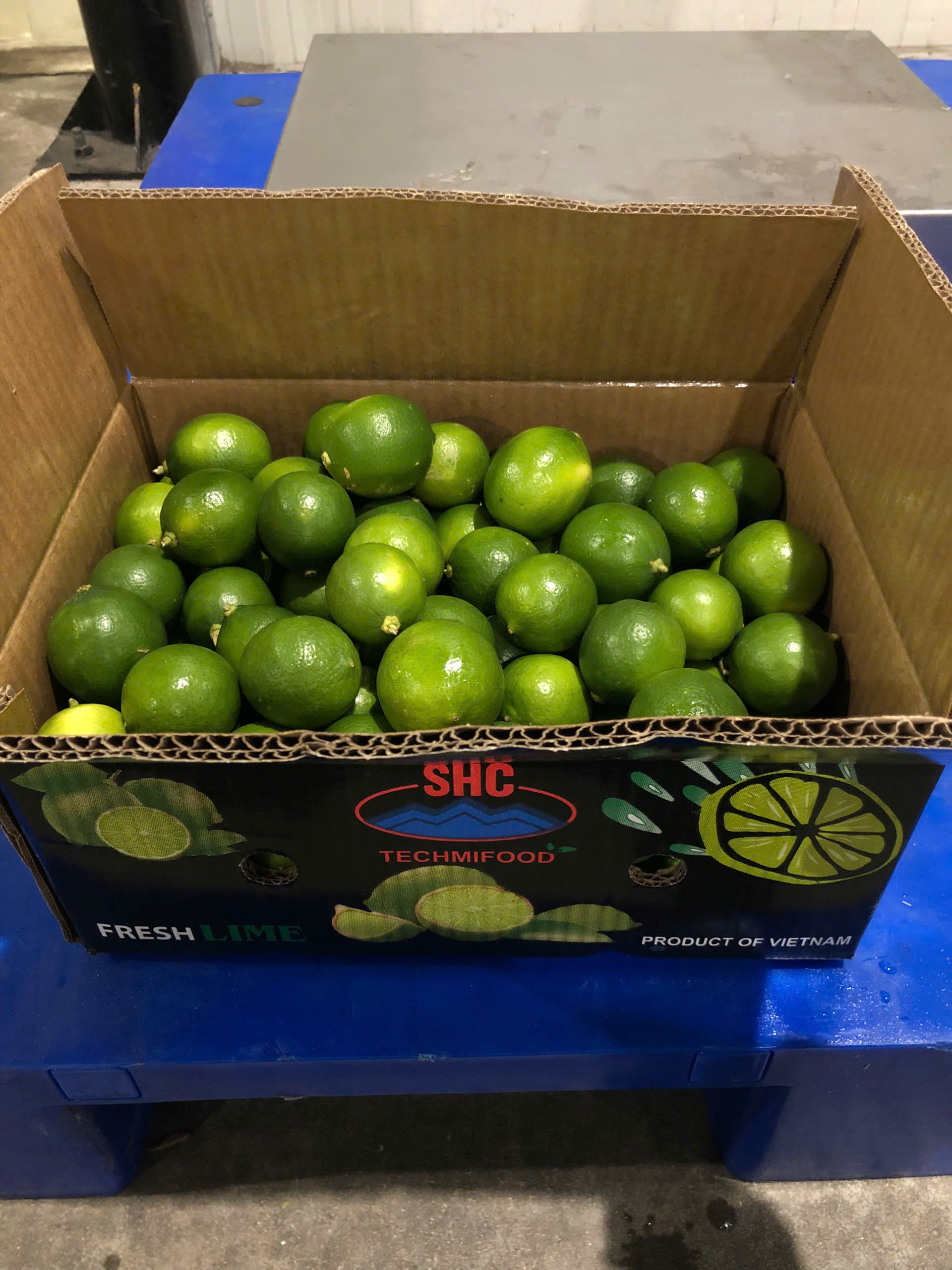 Premium Vietnamese Seedless Lime for Saudi Arabia – TECHMIFOOD