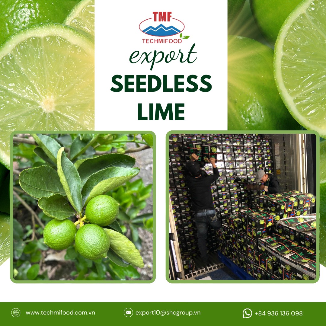 Global Demand for Premium Seedless Lime Is Growing Strong