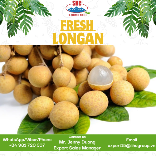 🍈 FRESH VIETNAMESE LONGAN – EXPORTED DIRECTLY BY TECHMIFOOD