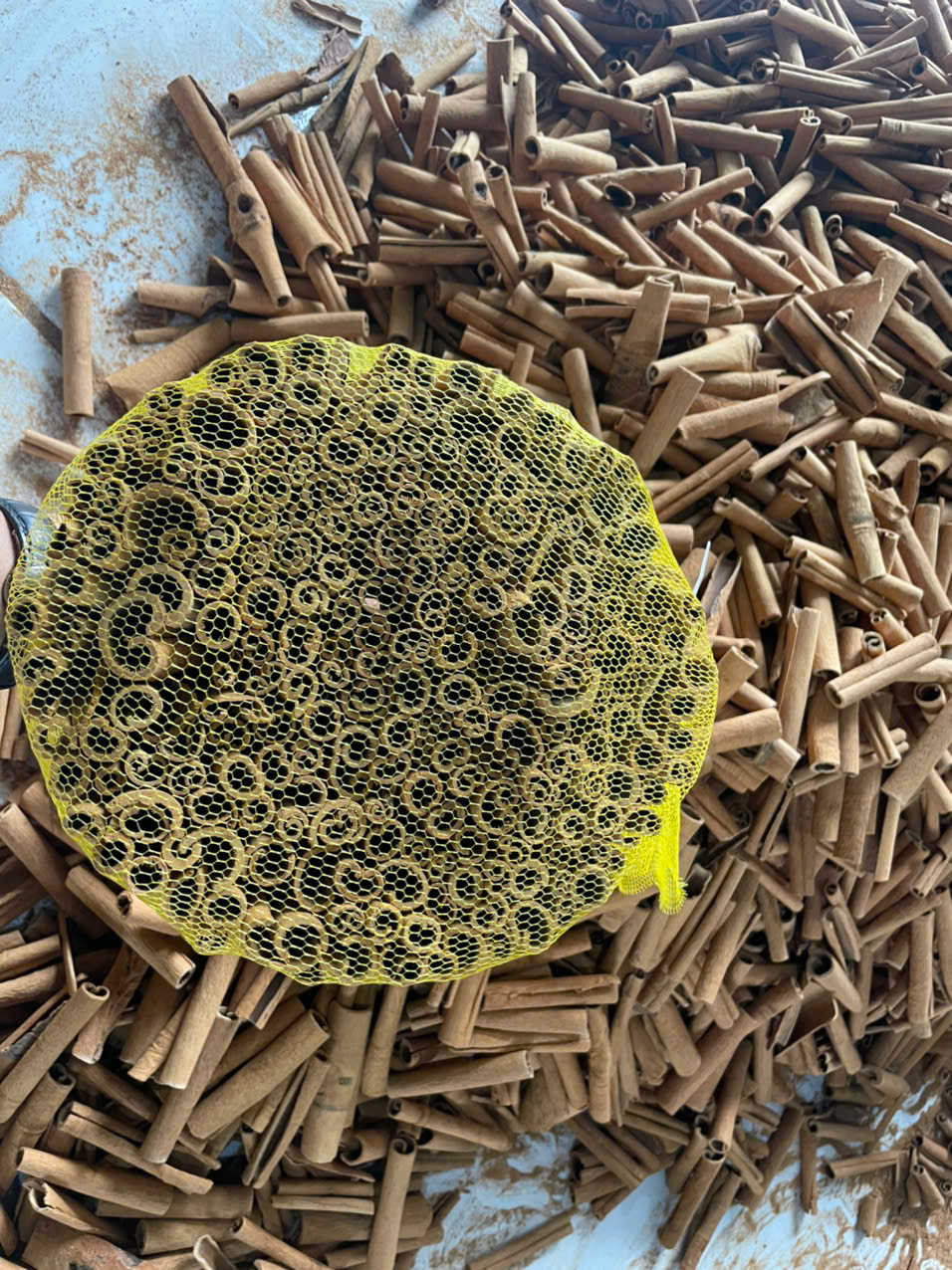Premium Vietnamese Cigarette Cinnamon (Cassia) from Yên Bái – Export Quality