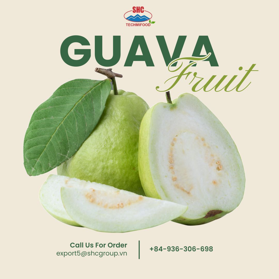 TECHMIFOOD – Bringing Vietnam’s Finest Guava to the World