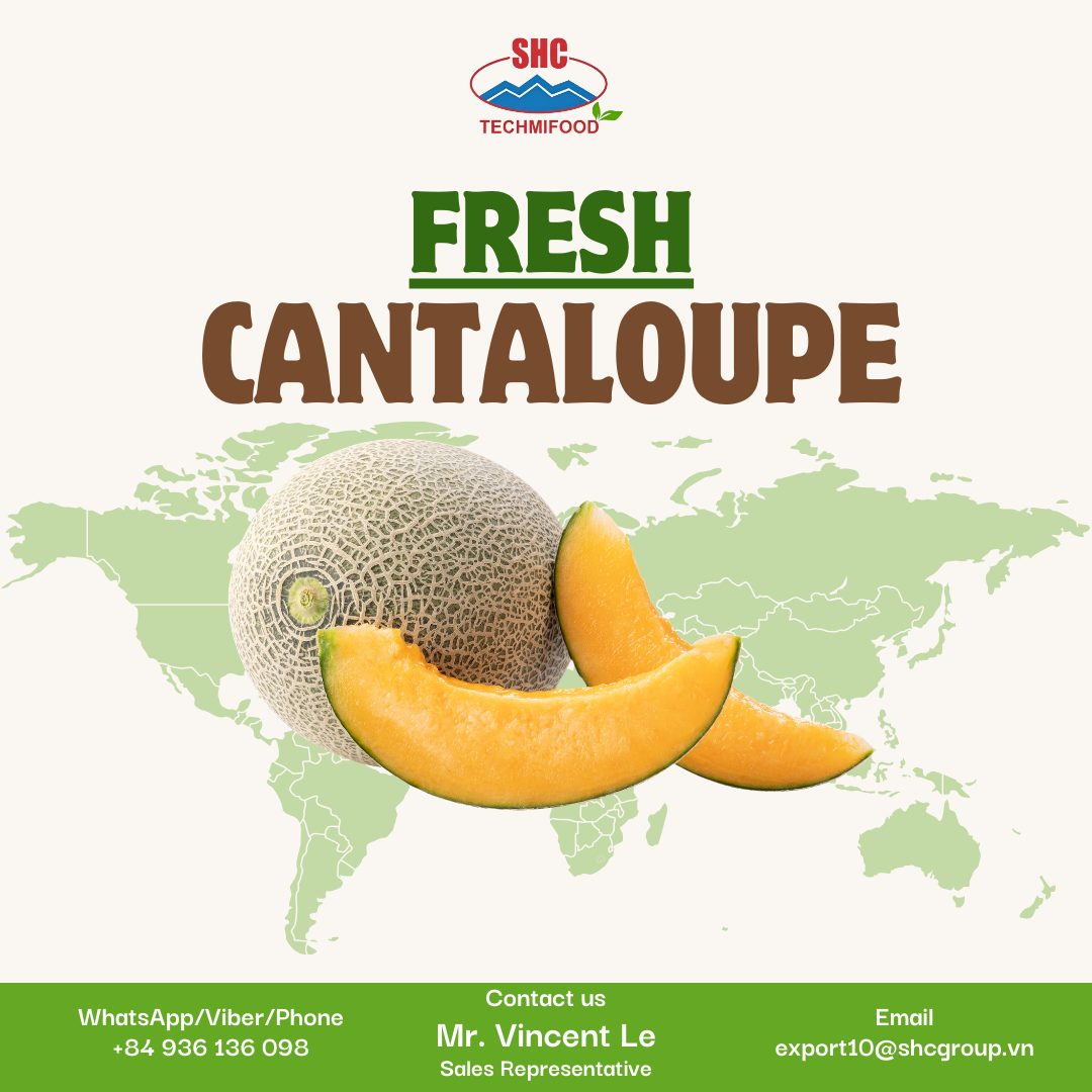 Vietnamese Cantaloupe - Premium Quality, Competitive Price, and Year-Round Supply for Global Importers and Supermarkets