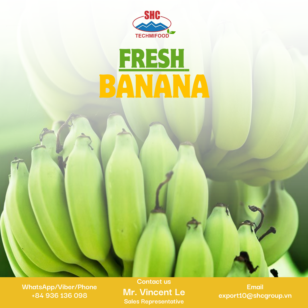 Exporting Vietnam Fresh Bananas – Quality, Taste, and Global Market Reach