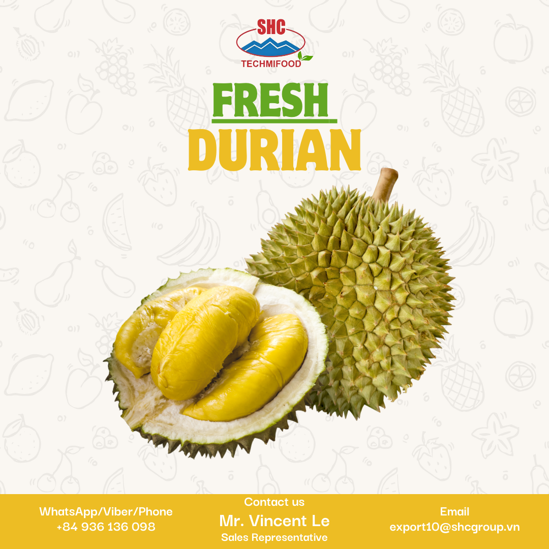 Durian Supplier – Fresh, High-Quality Durian for Importers