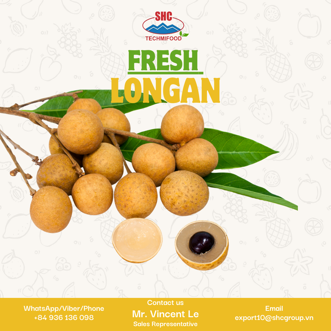 Fresh Longan - Premium Quality Export Wholesale Supplier & Bulk Import