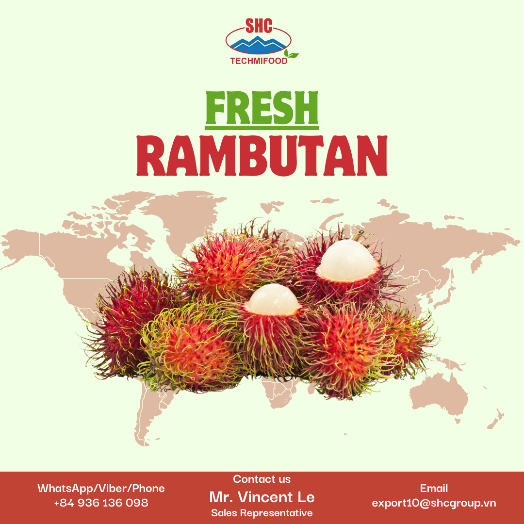 Exporting Rambutan – A Sweet & Juicy Tropical Delight