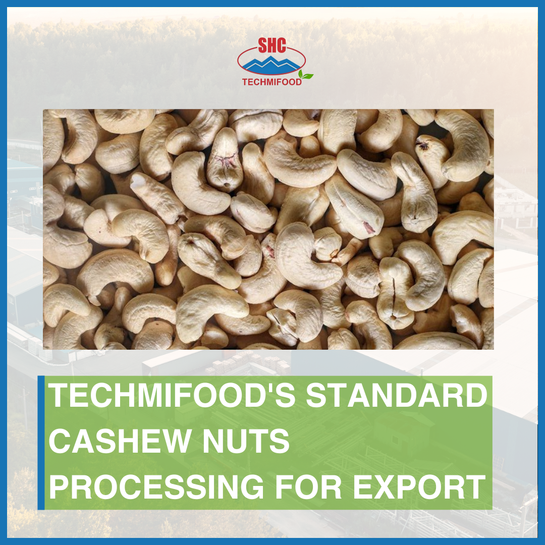 Techmifood's Comprehensive Guide to the Export-Quality Cashew Production Process