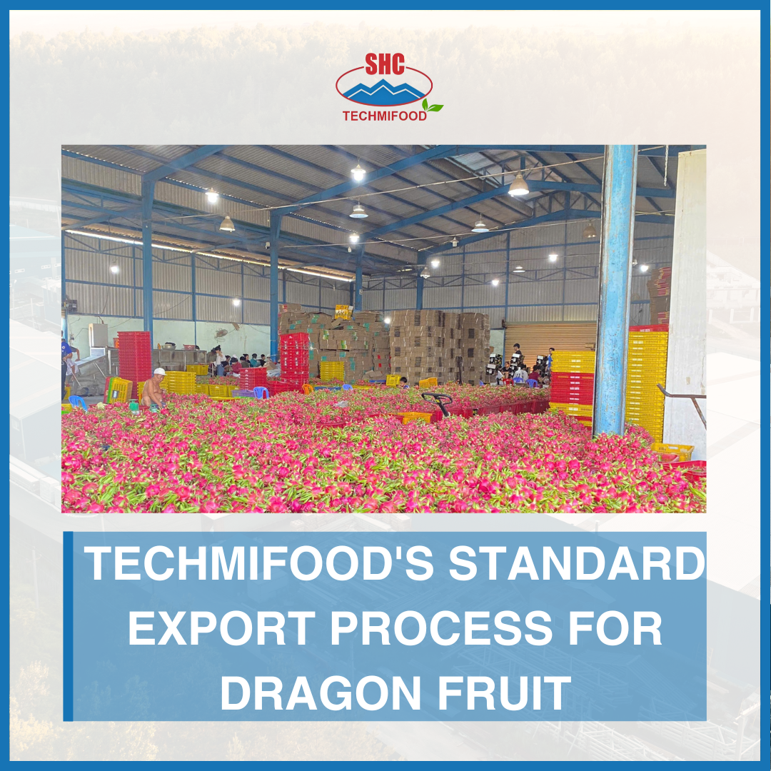 TECHMIFOOD's Standard Export Process for Dragon Fruit