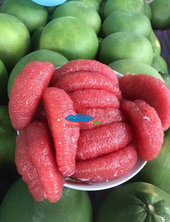 Green Pomelo – Selection and packaging process for export at TECHMIFOOD