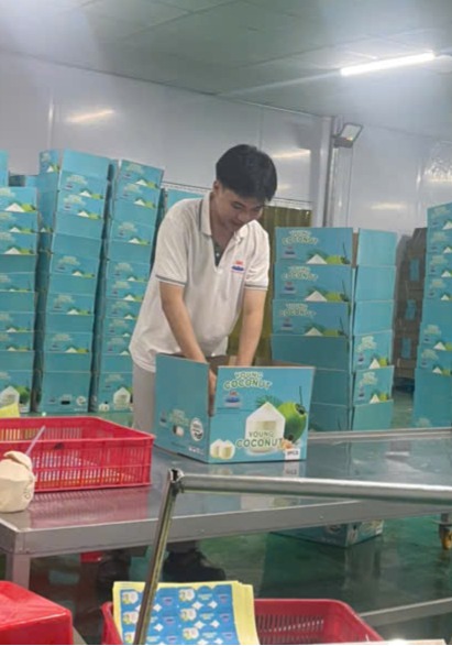 Techmifood's Young Coconut Processing and Packing Procedure