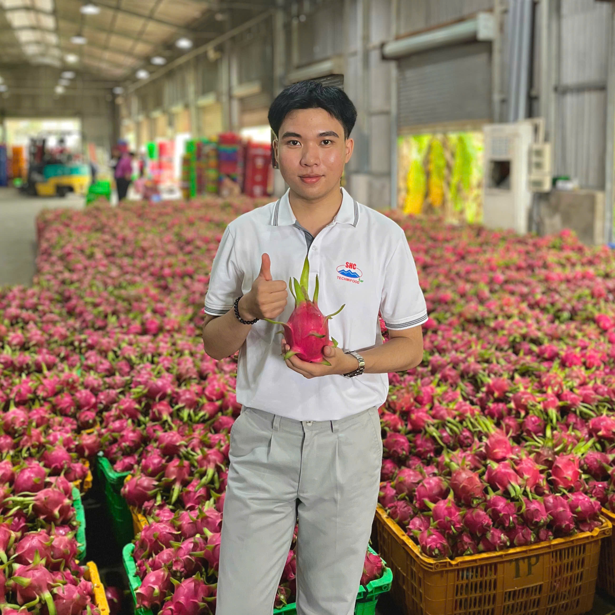 Understanding Product Quality Standards for Vietnamese Dragon Fruit: Focus on Appearance