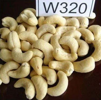 Vietnam Cashew Nuts Export – W320 Grade from TechmiFood Impresses Global Markets