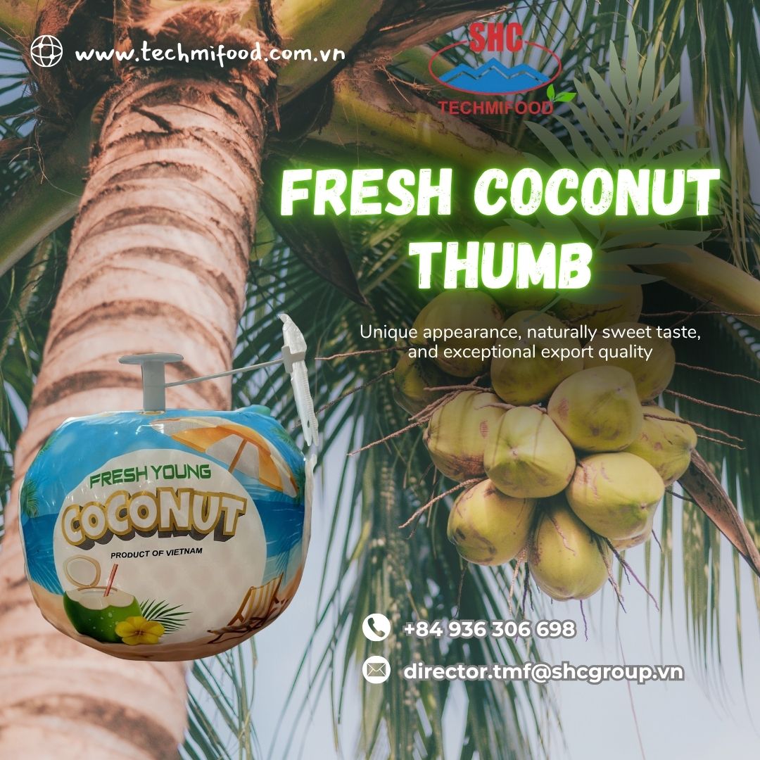 Vietnamese Thumb Coconuts: Meeting the Demands of Strict International Markets