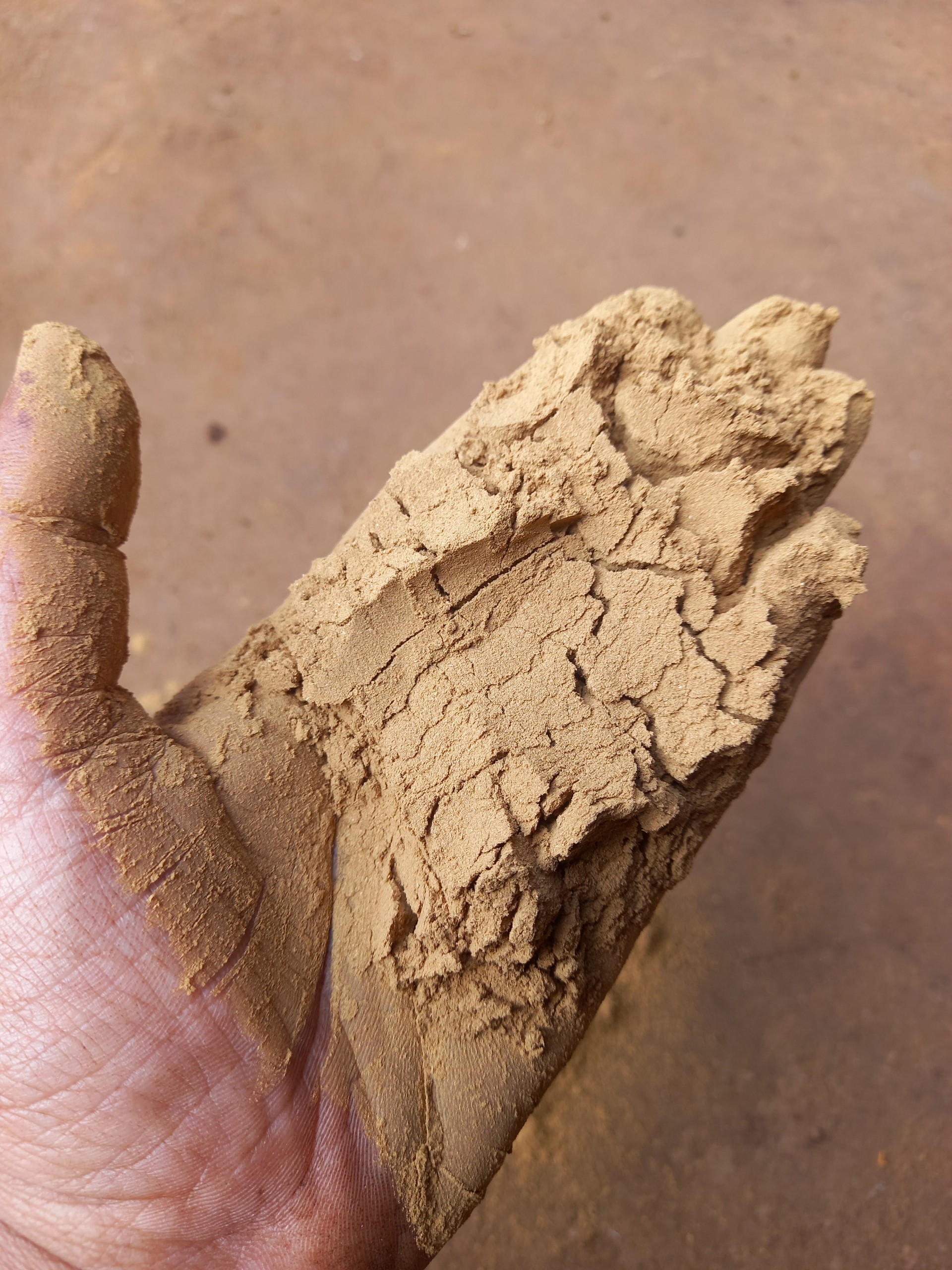 The Secret Ingredient for Premium Incense: High-Quality Vietnamese Joss Powder