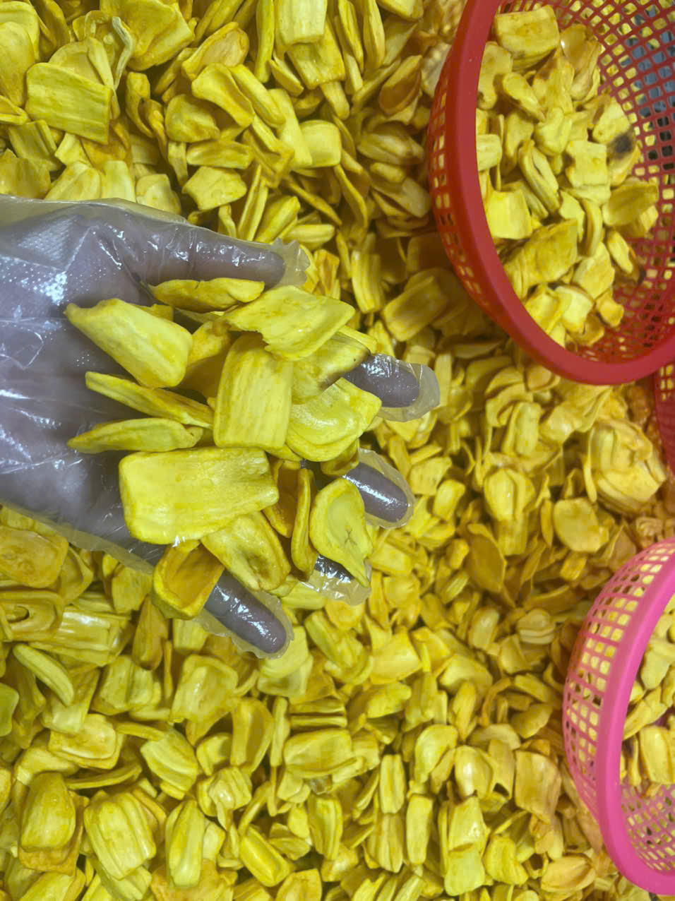 Vietnamese Jackfruit Chips: From Tropical Fruit to a Crunchy Export Opportunity