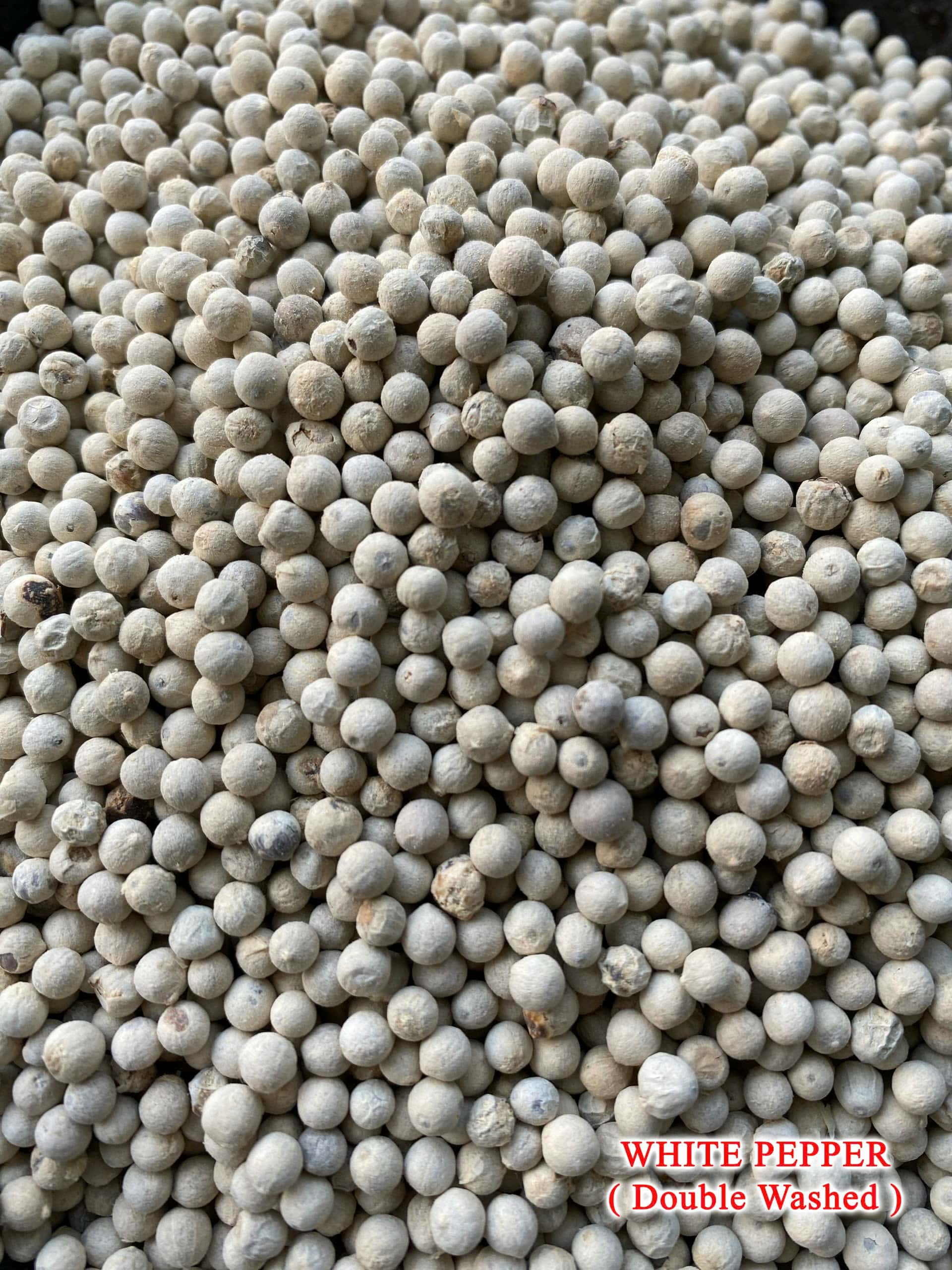Vietnam Black Pepper Supplier - High Quality Export by TECHMIFOOD