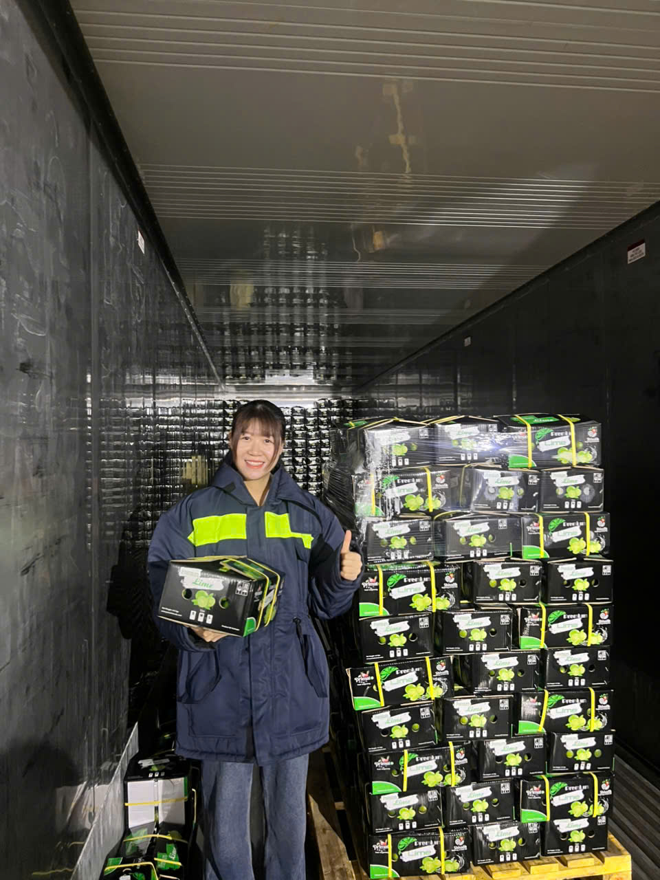 FRESH SEEDLESS LIME FROM VIETNAM – PREMIUM EXPORT TO UAE