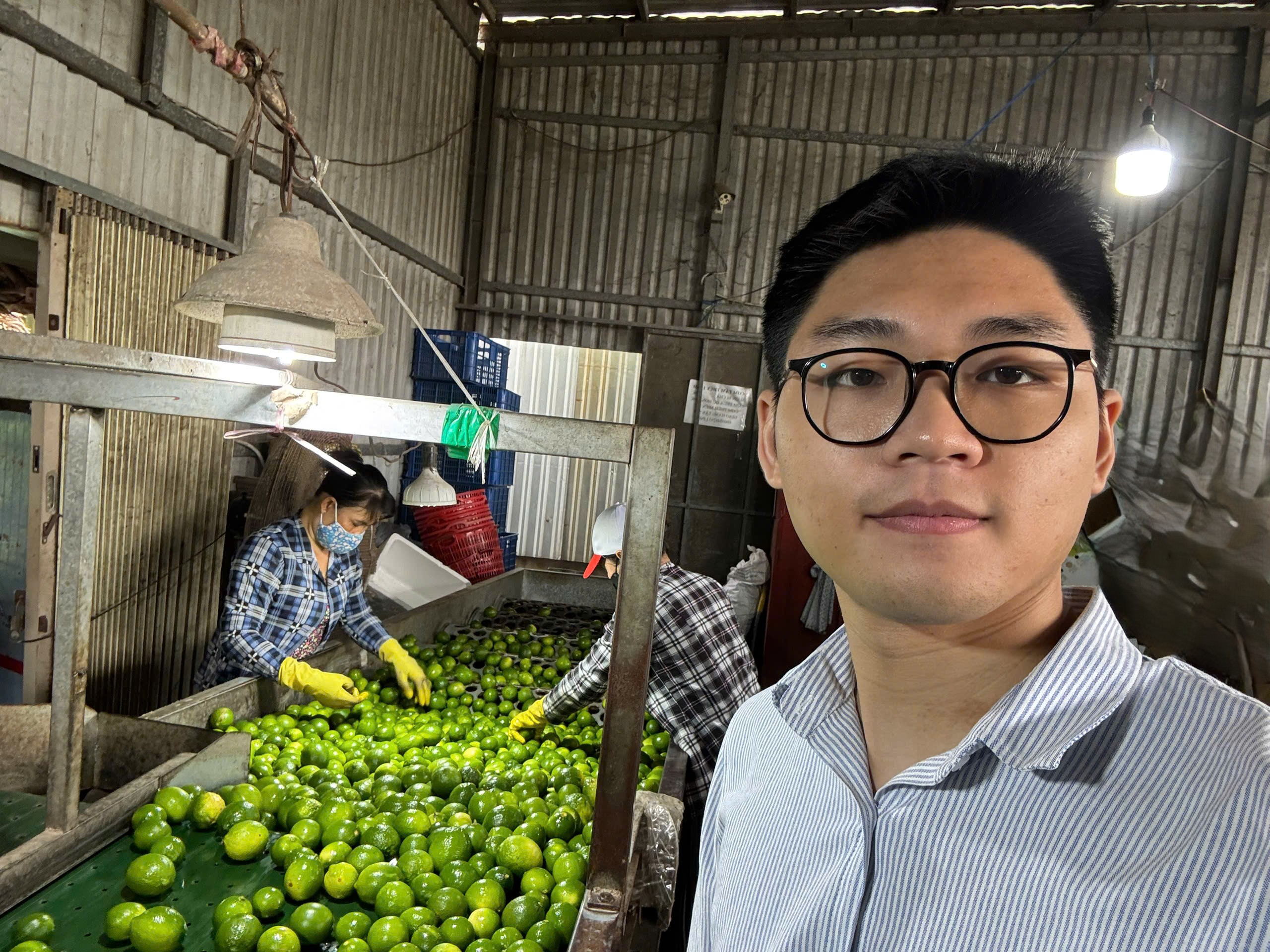 Premium Vietnamese Seedless Lime for Middle East 2026 by TECHMIFOOD