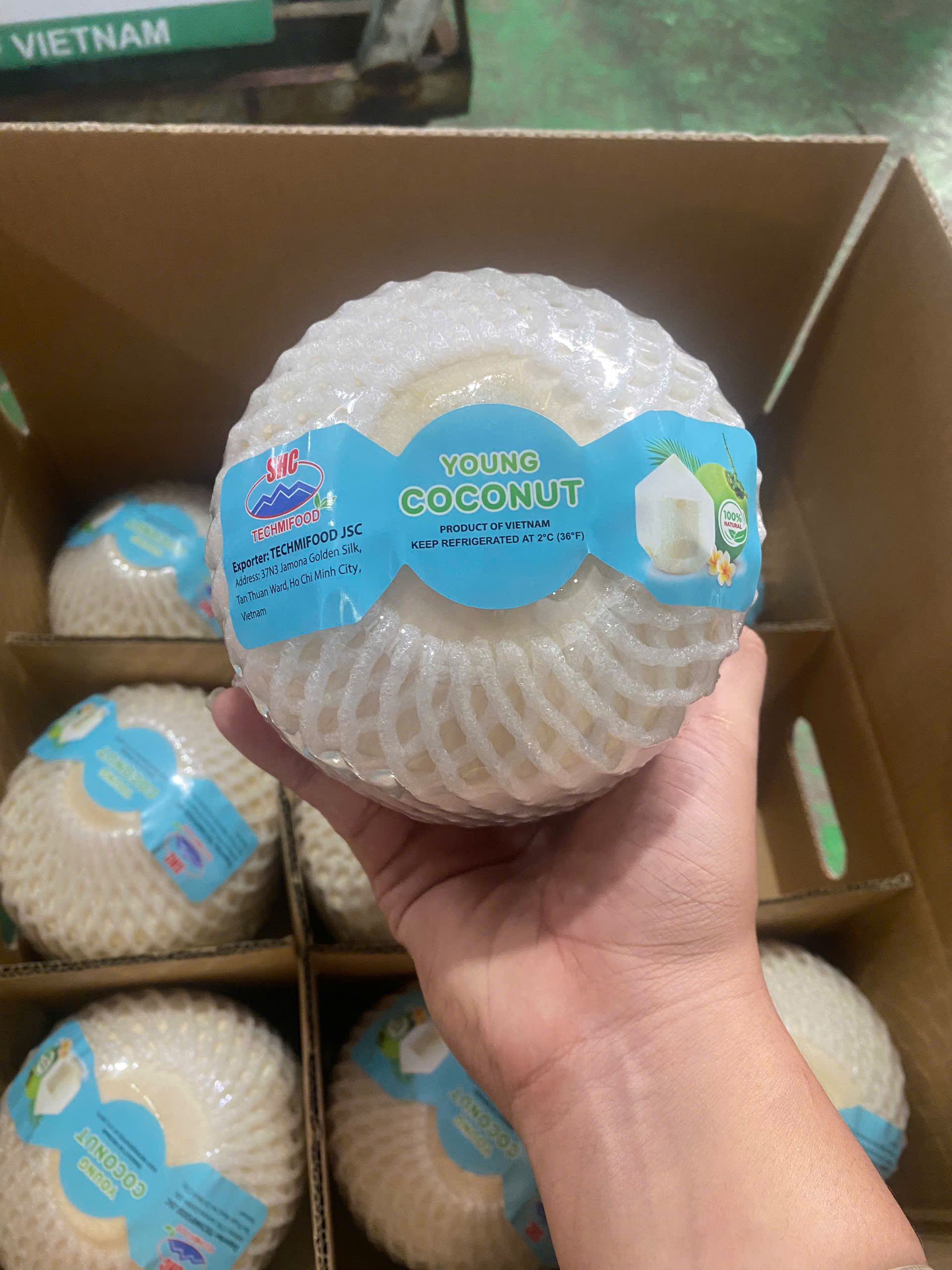 TECHMIFOOD – Reliable Supplier of Export-Quality Vietnamese Coconuts