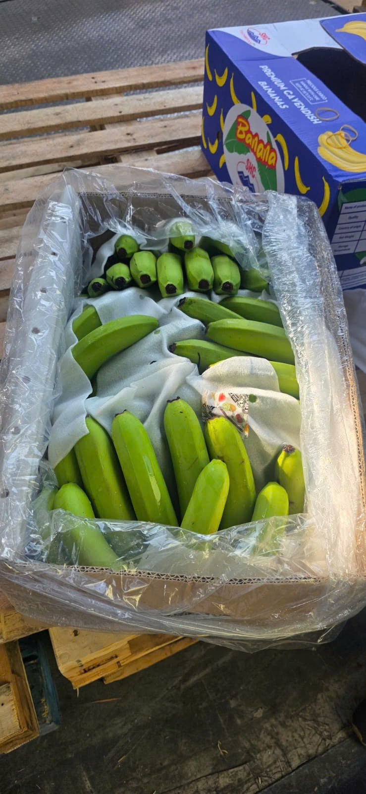 Vietnamese Bananas: A New Face in the International Market
