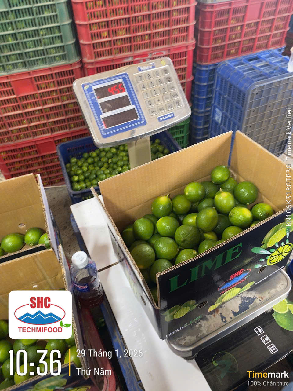 Why Many Middle Eastern Businesses Prefer Vietnamese Fruits