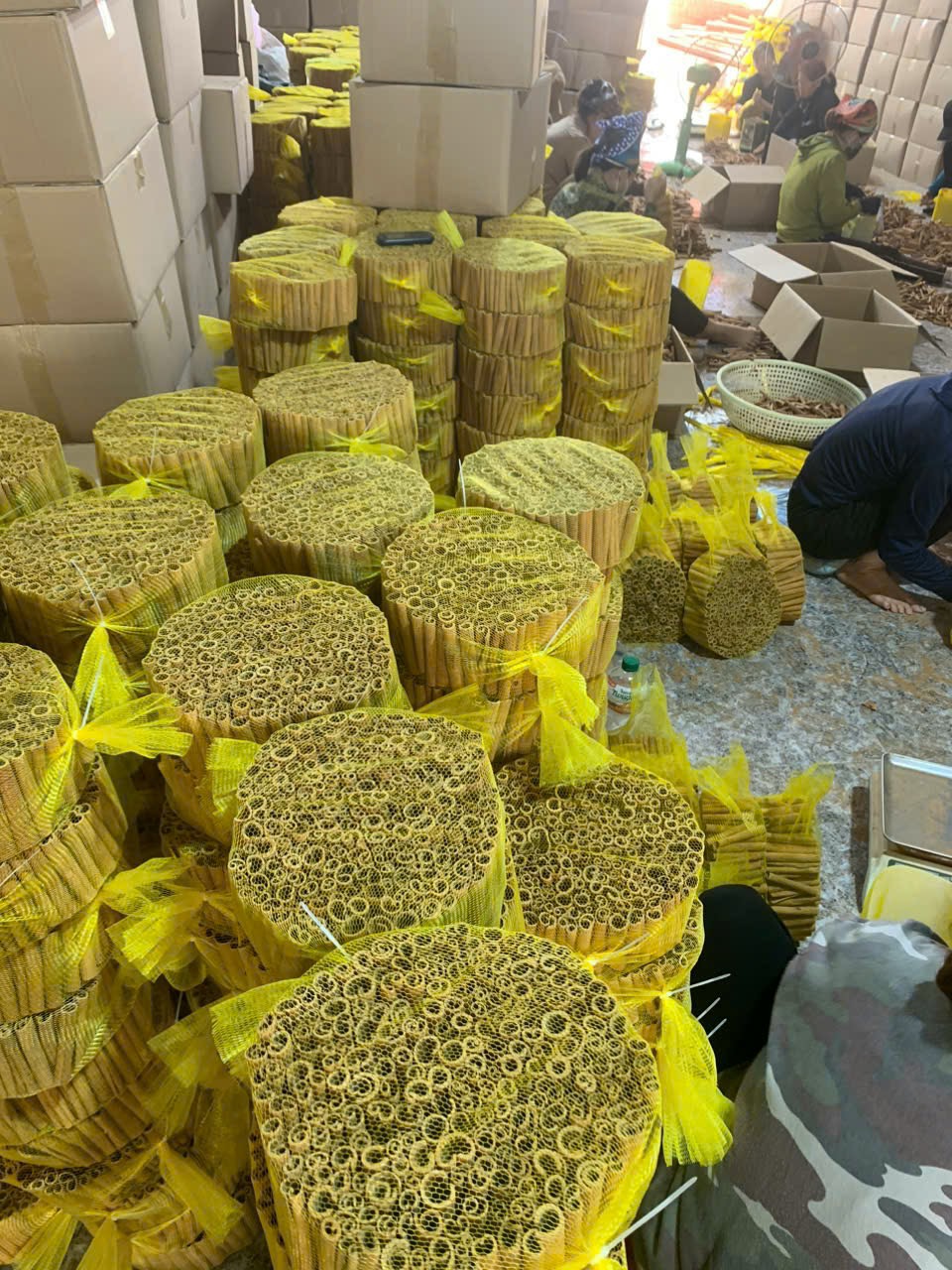 Vietnamese Cinnamon: A Premium Spice Exported to the World