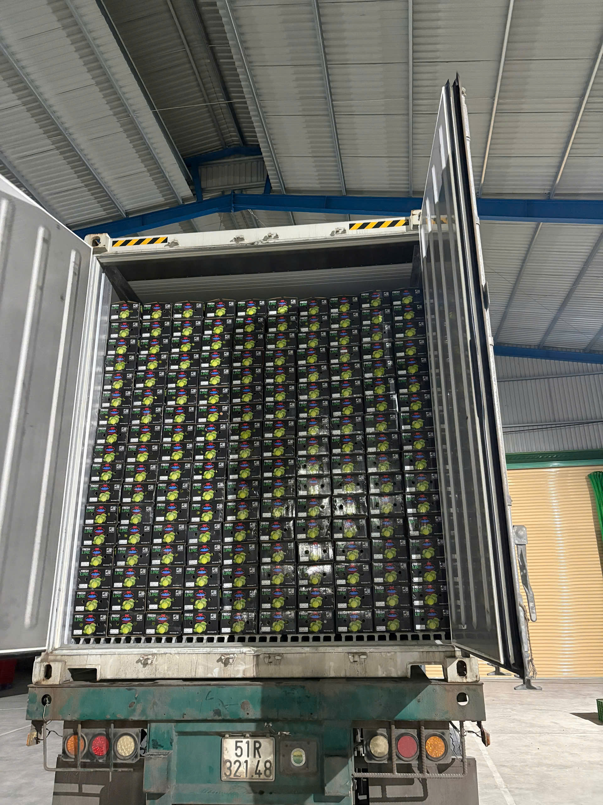 Delivering Freshness Beyond Challenges: Techmifood's Commitment to the Middle East Market