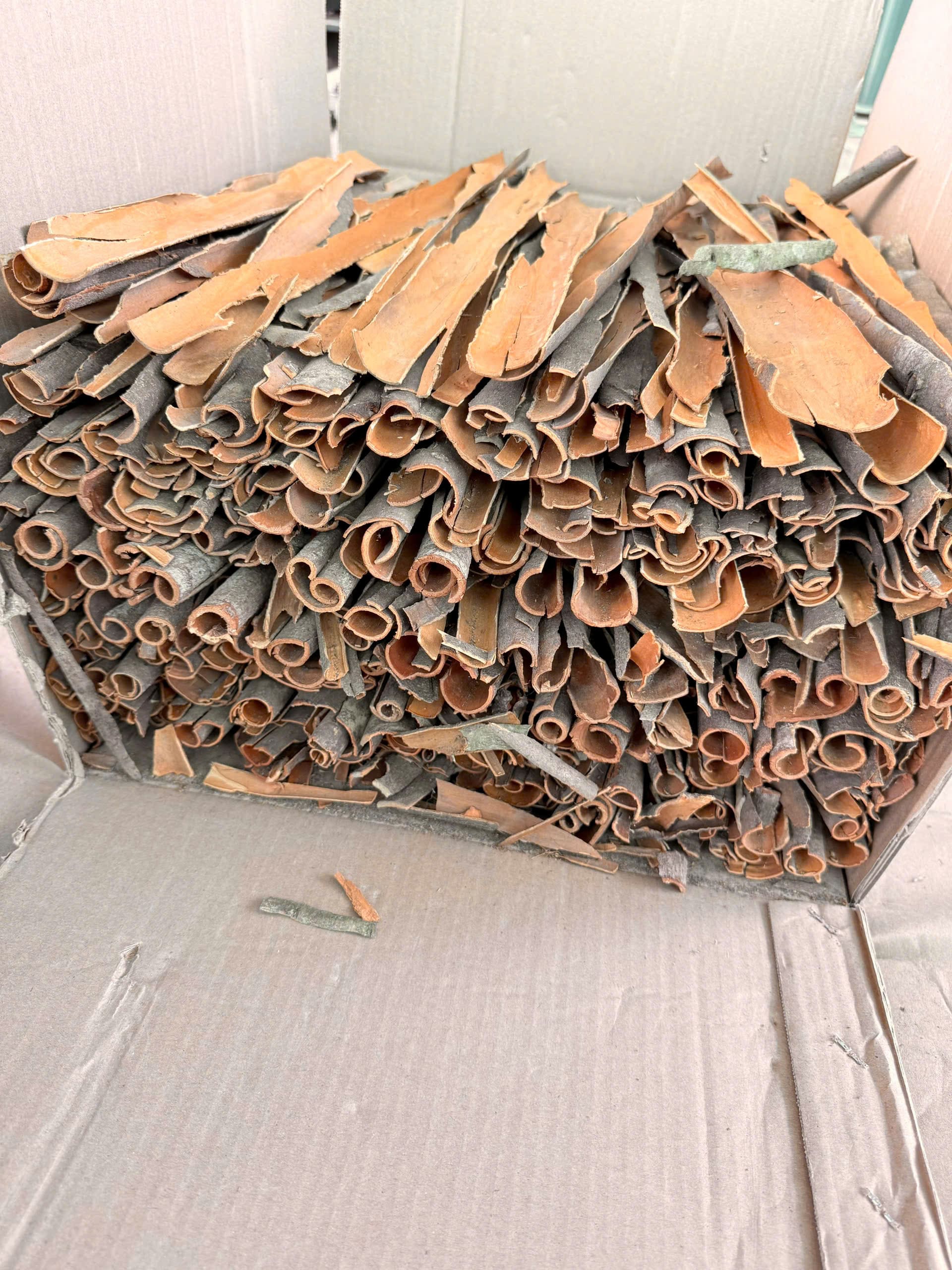 Exporting High-Quality Split Cinnamon to Bangladesh: The Perfect Choice for Wholesalers