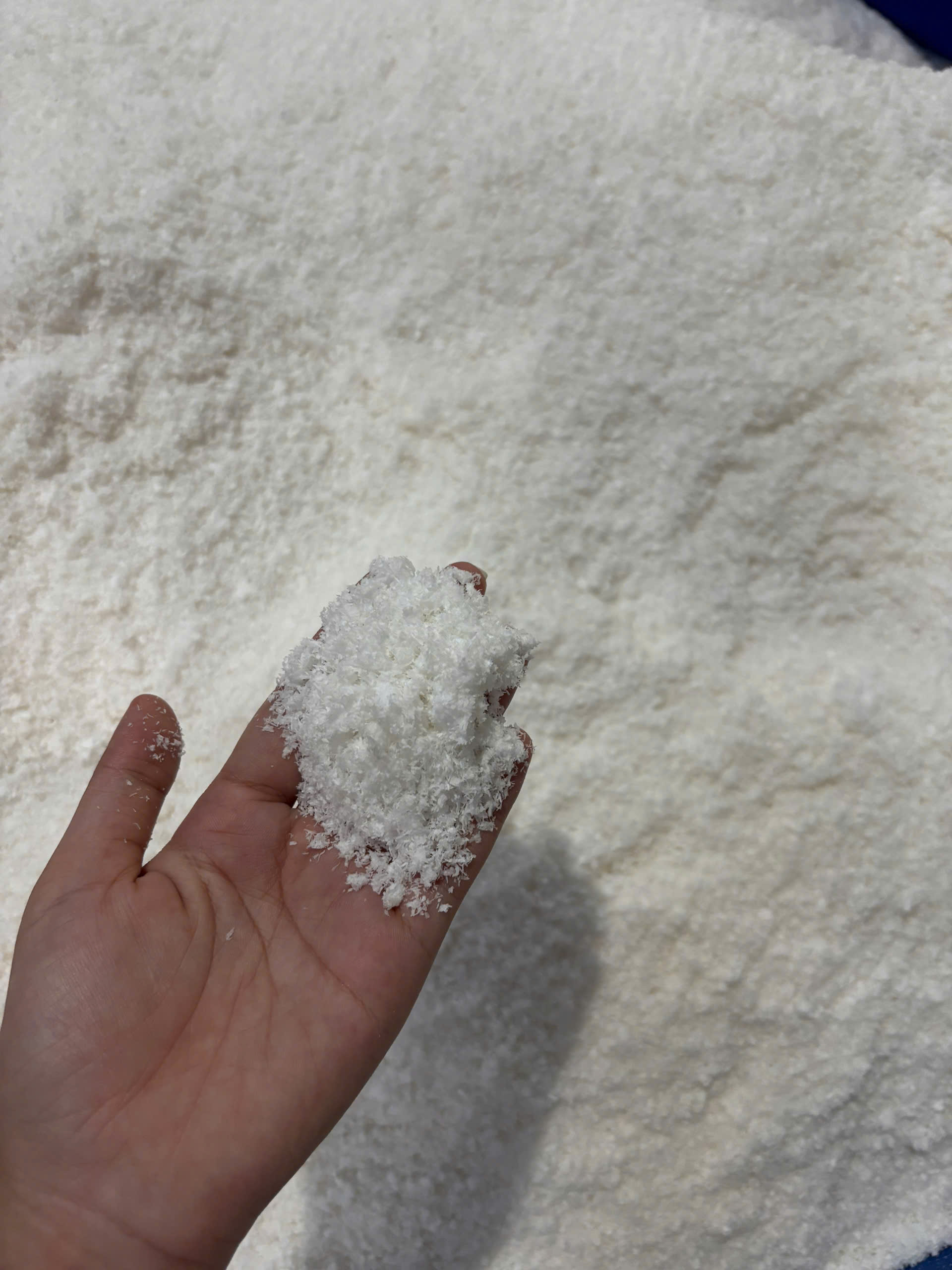 Low-Fat Desiccated Coconut from Vietnam – The Smart Choice for Food Manufacturers!