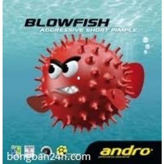 Andro Blowfish