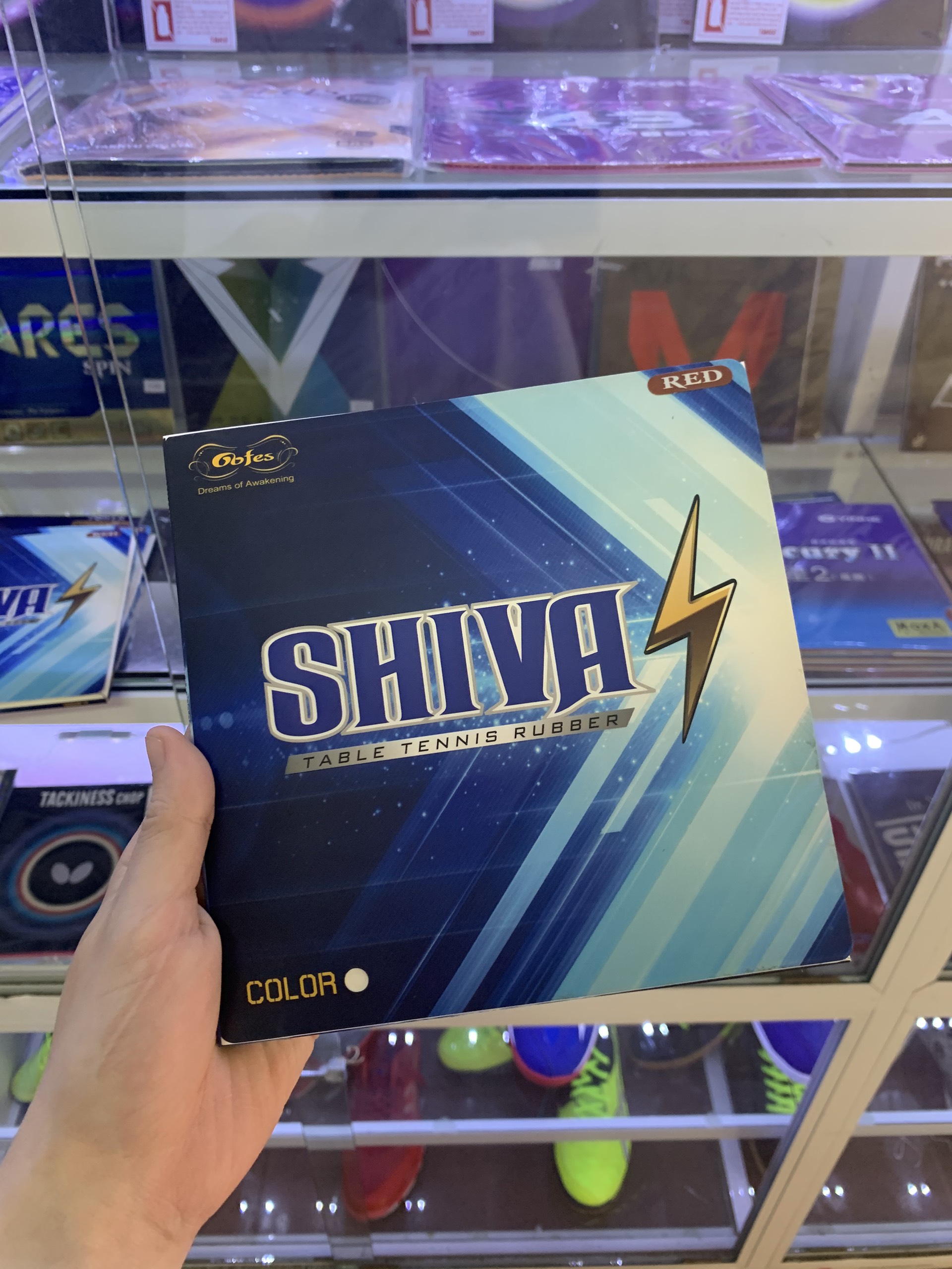 Gofes Shiva