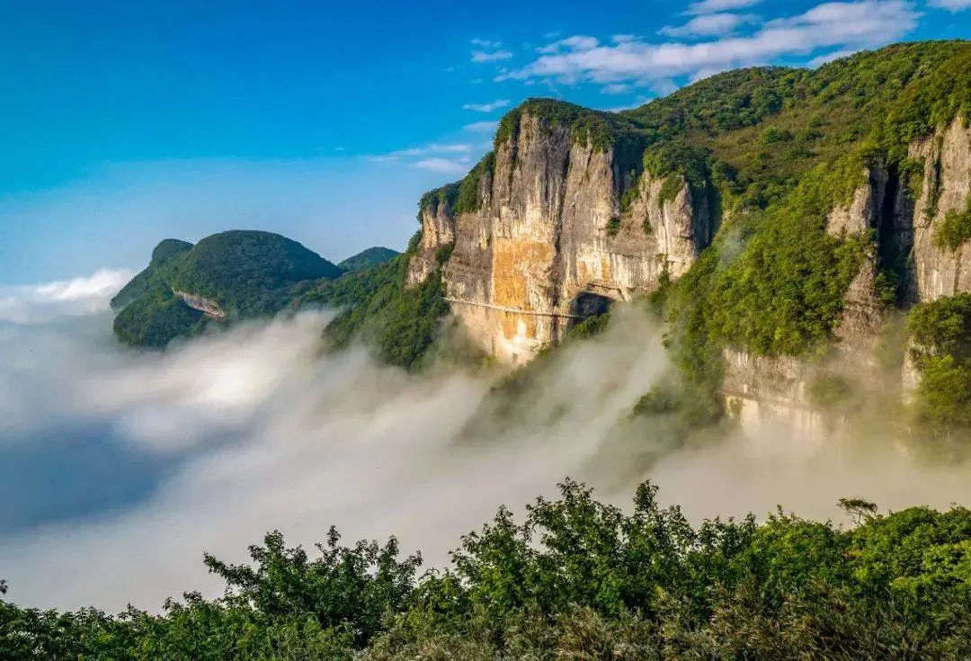 HỒ CHÍ MINH - TRÙNG KHÁNH - KIM PHẬT SƠN 4N3Đ