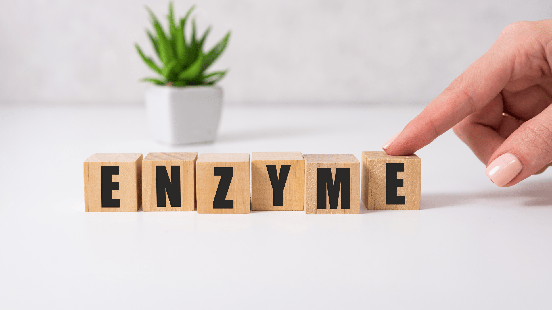 Enzyme: Món Quà Của Thượng Đế Đối Với Sức Khỏe Con Người