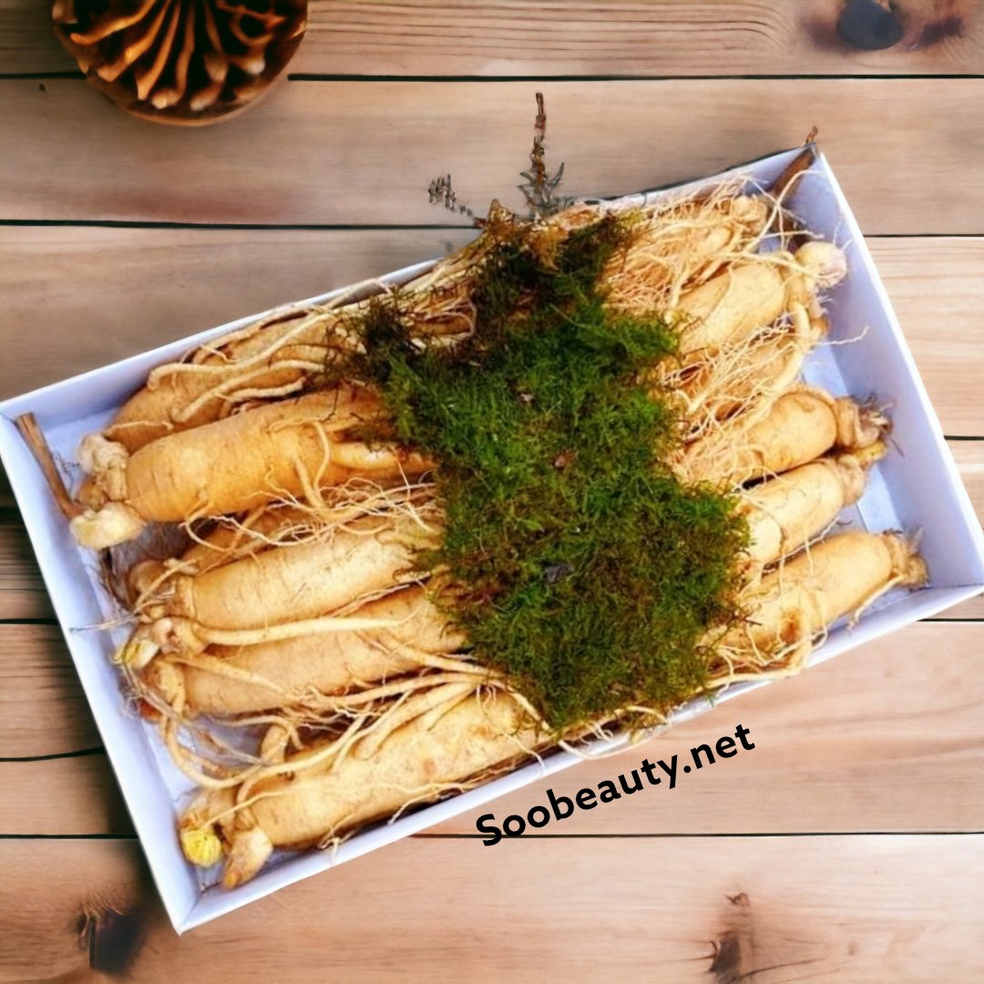 SÂM GEUMSAN 12 CỦ 1 KG - THÂN DÀI LOẠI 1